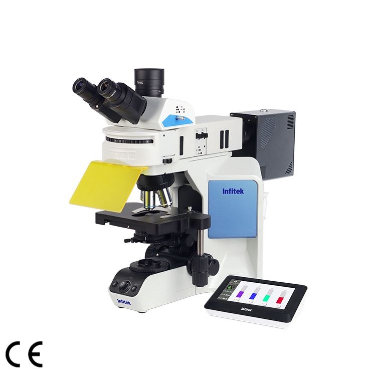 MSC-F43N Fluorescence Microscope