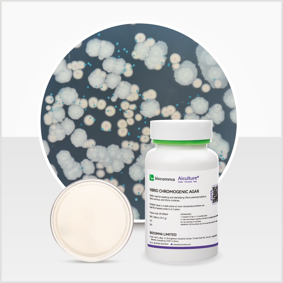 Vibrio Chromogenic Agar