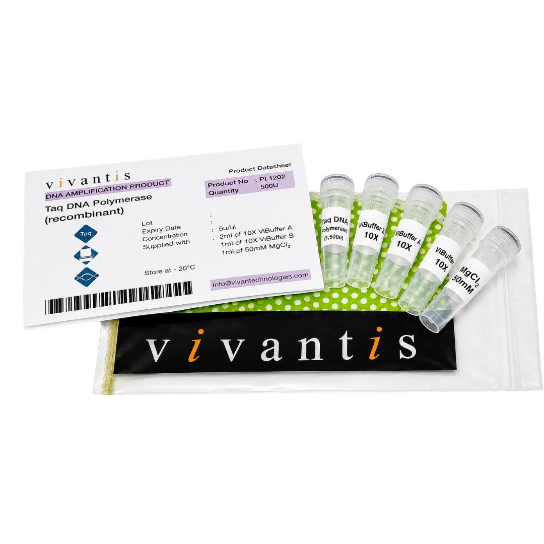 Taq DNA Polymerase (Thermus aquaticus)