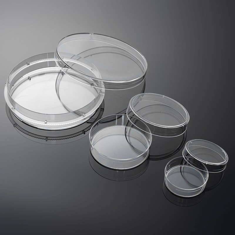 Cell Culture Dishes