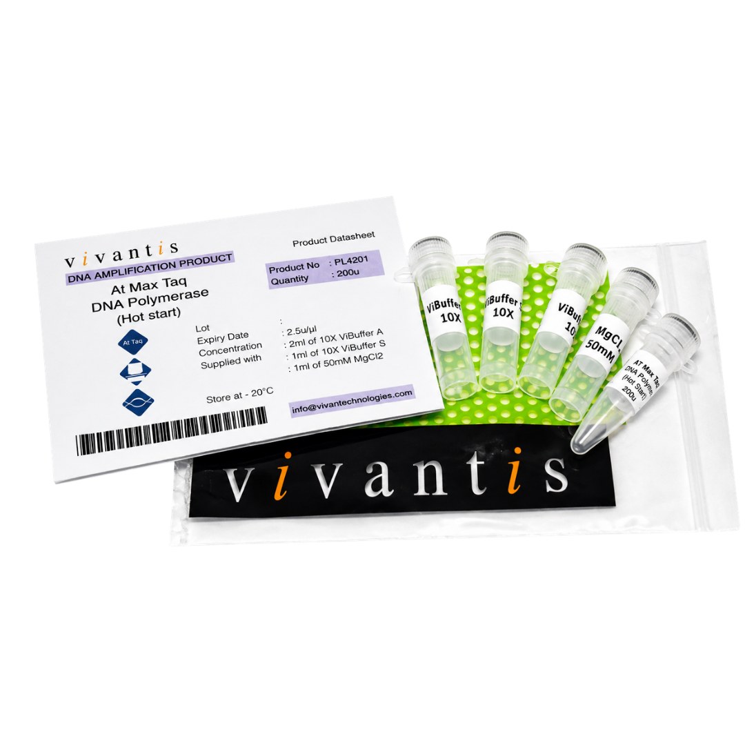 AtMax Taq DNA Polymerase (Hot Start Long Amplification)