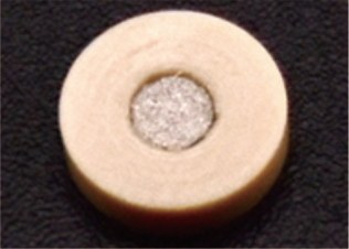 Frit Assemblies for HbA1c Analysis