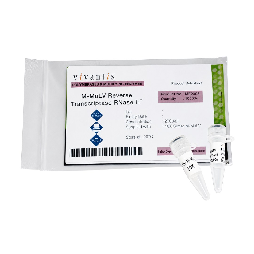 M-MuLV Reverse Transcriptase (RNase H-)
