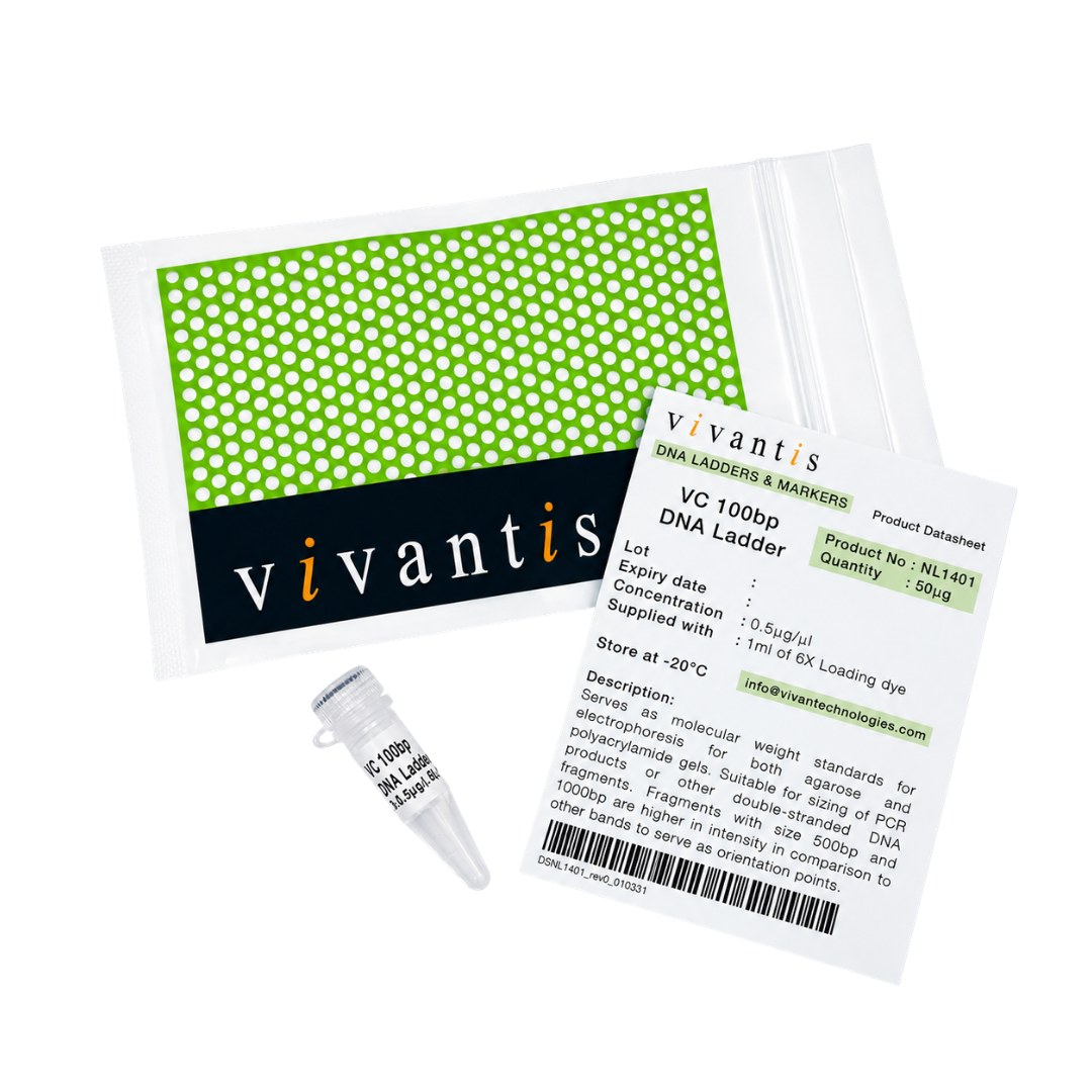 VC 100bp DNA Ladder