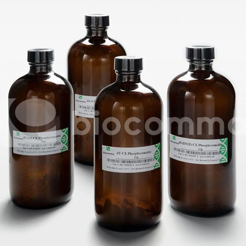 Modified CPG and Amidites