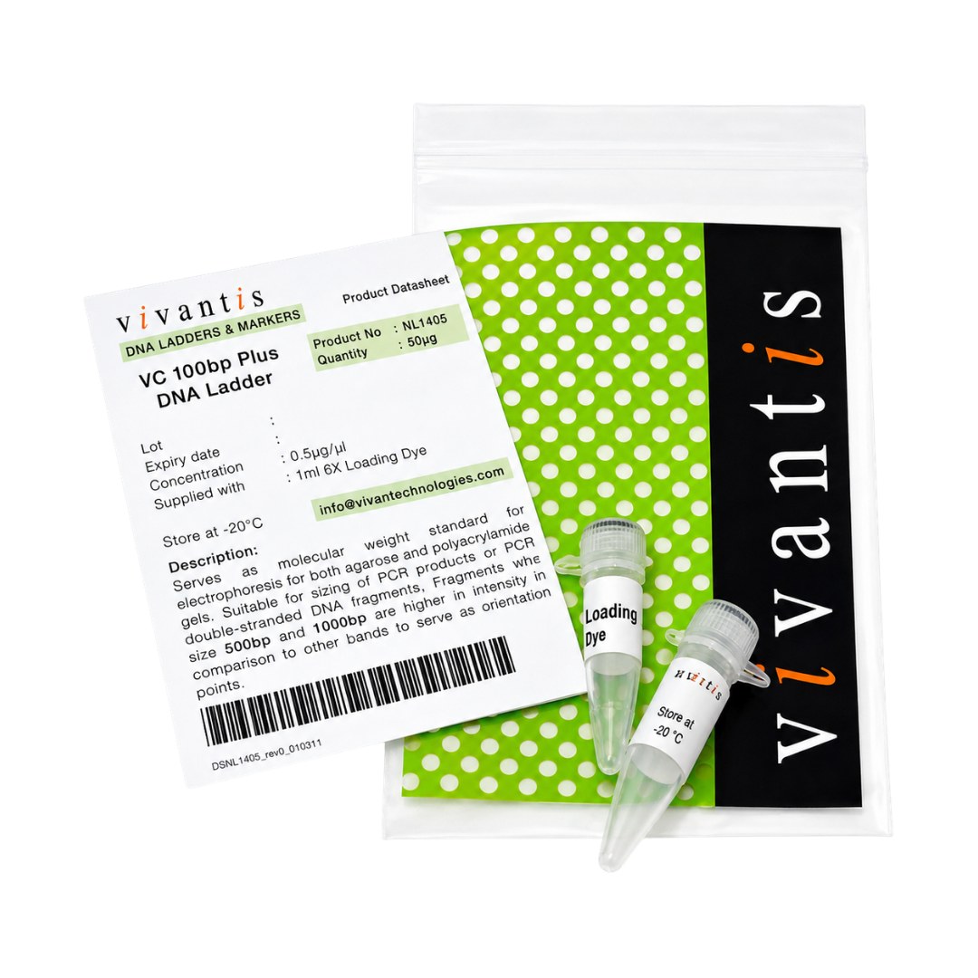 VC 100bp Plus DNA Ladder