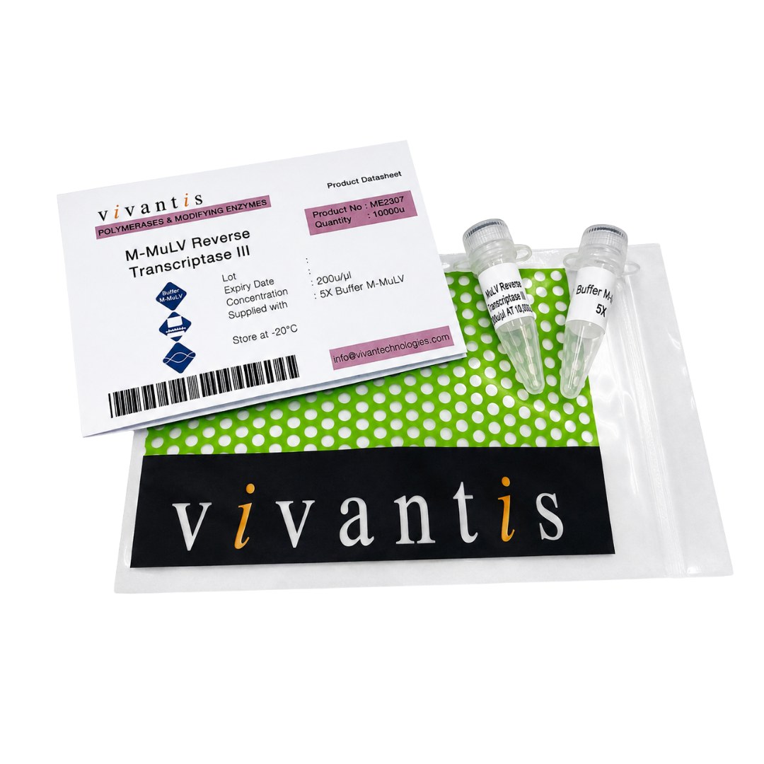 M-MuLV Reverse Transcriptase III