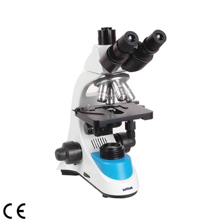 MSC-B208T Biological Microscope, Siedentopf Trinocular