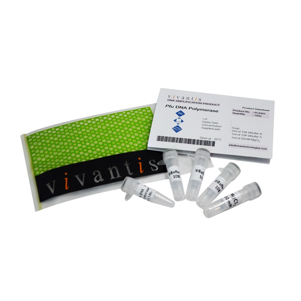 Pfu DNA Polymerase (Pyrococcus furiosus)