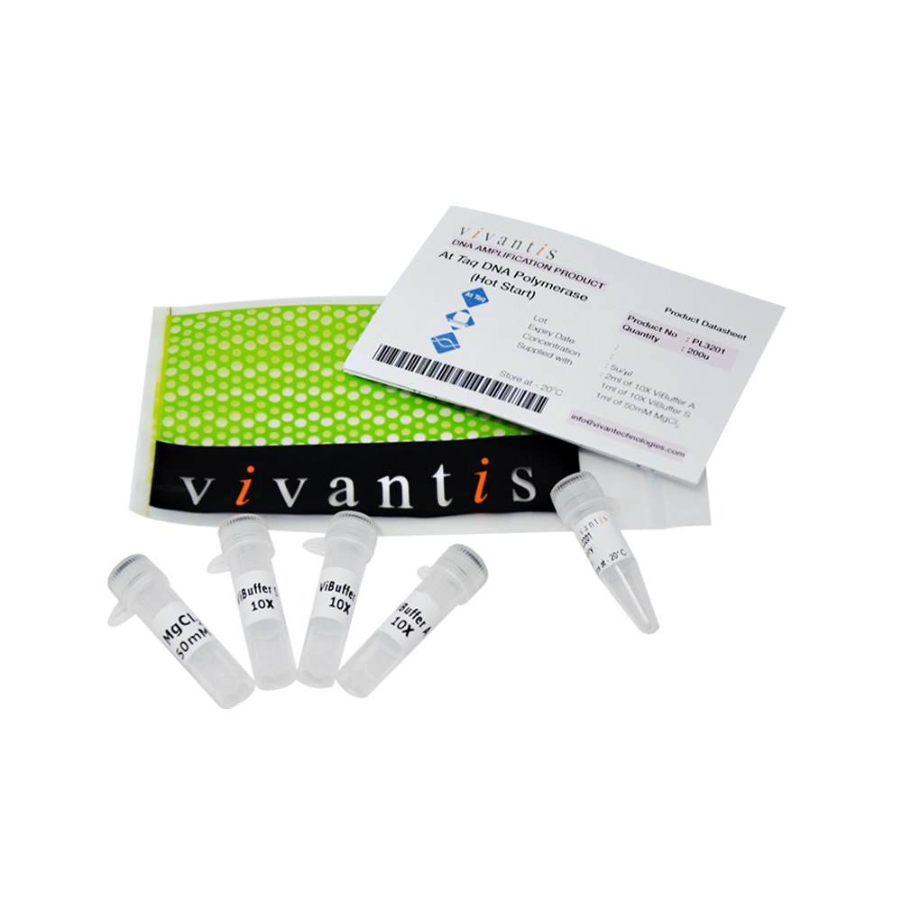 AtTaq DNA Polymerase (Hot Start)