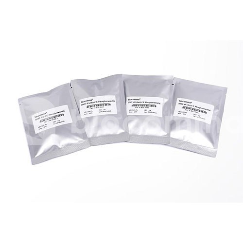 DNA/RNA Phosphoramidites