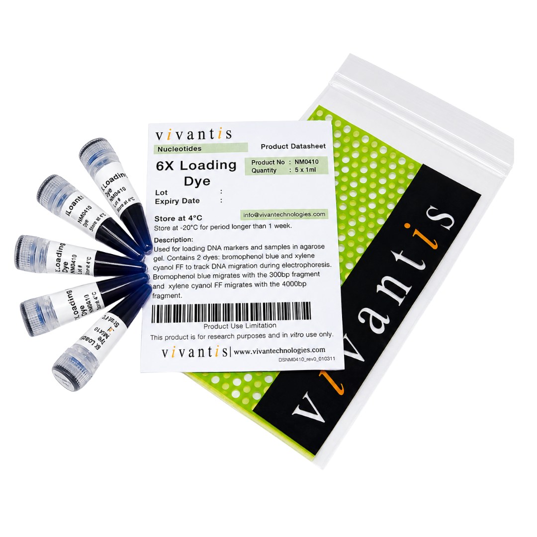 6X Loading Dye (with xylene cyanol)