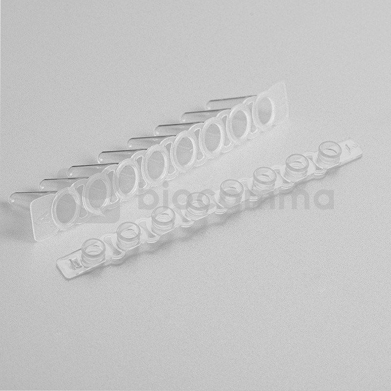 PCR Tubes and Plates