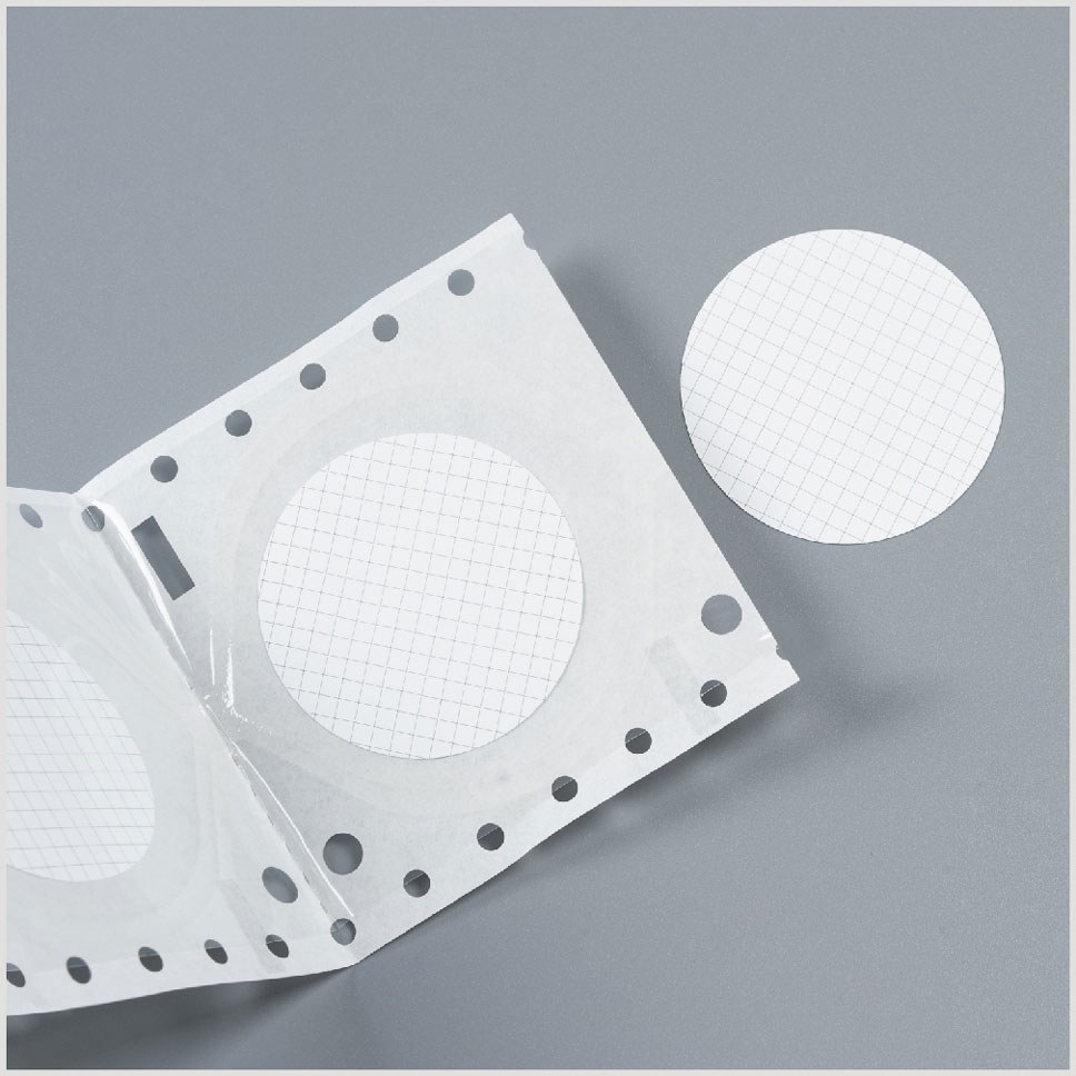 Gridded Membrane Filters