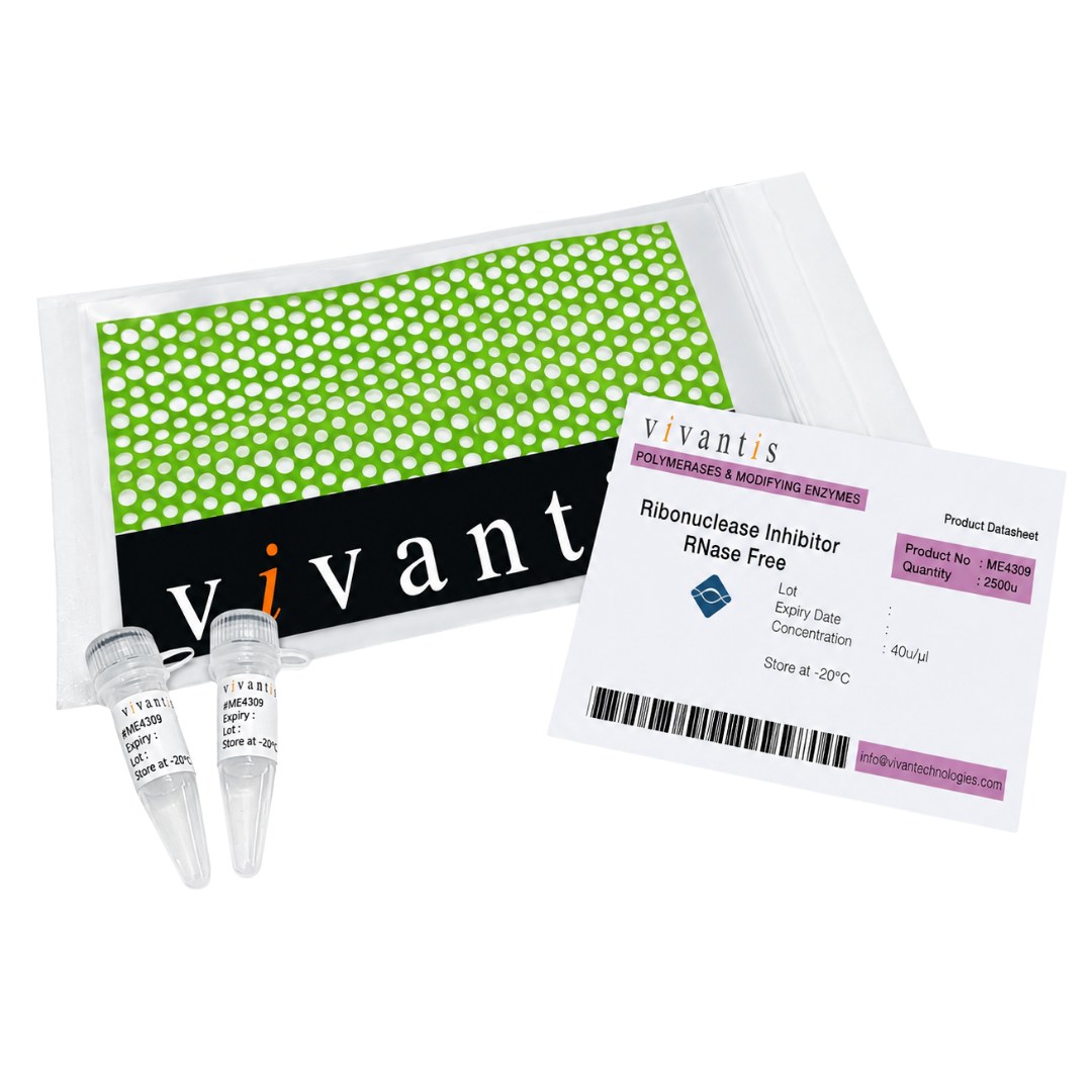 Ribonuclease Inhibitor RNase-Free