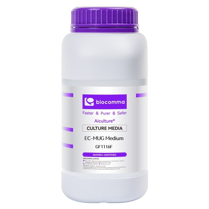 EC-MUG Medium
