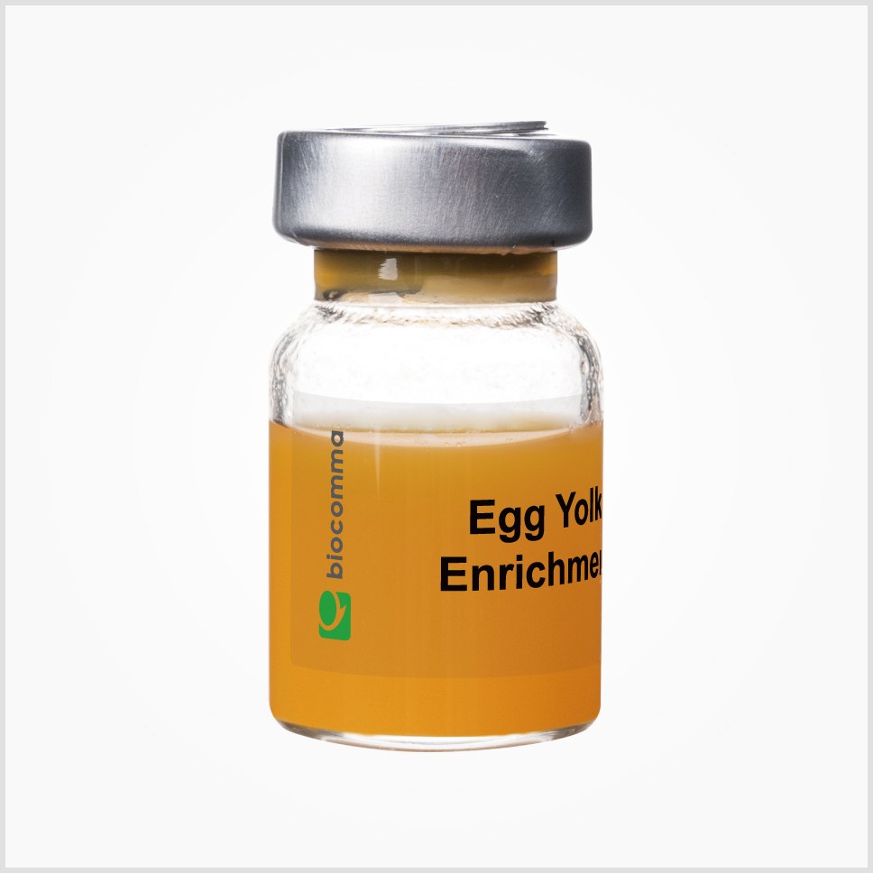 Egg Yolk Tellurite Enrichment